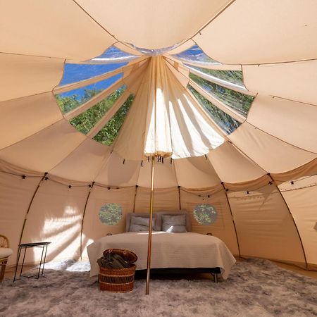 Holmegaard Vin Og Glamping Hotel Dannemare Bagian luar foto