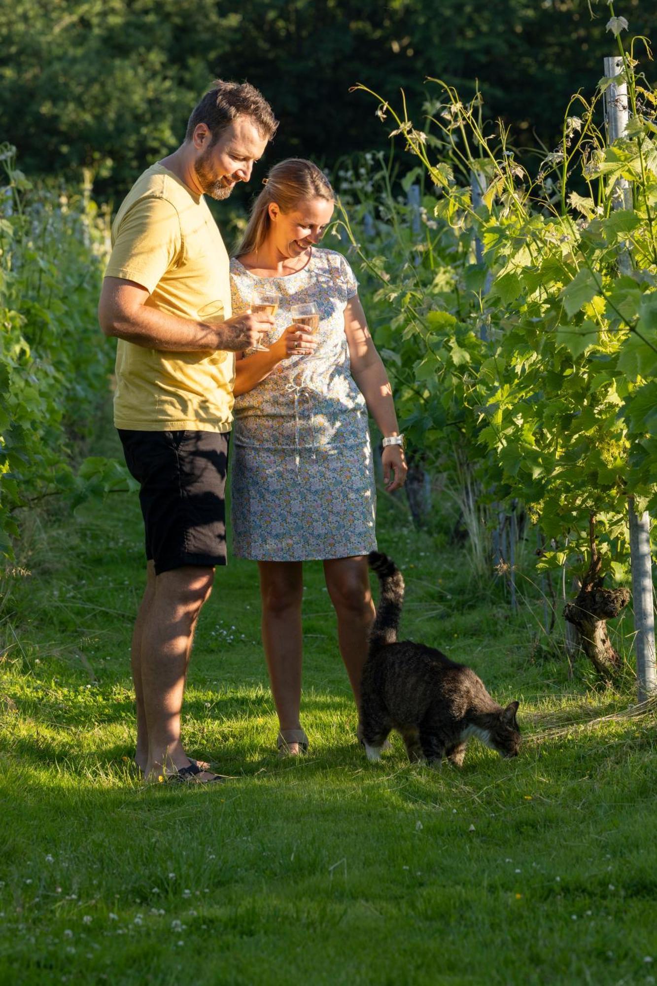 Holmegaard Vin Og Glamping Hotel Dannemare Bagian luar foto