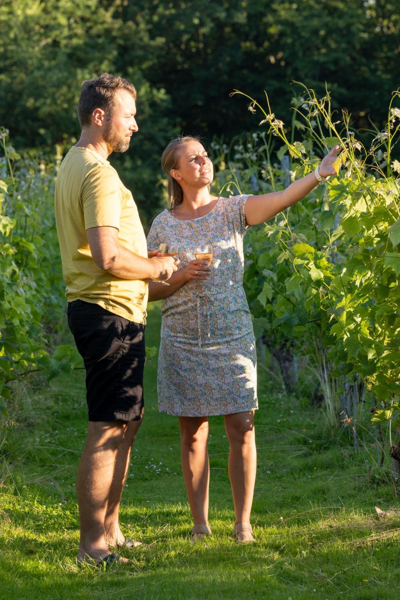 Holmegaard Vin Og Glamping Hotel Dannemare Bagian luar foto